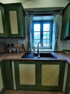 上马尔绍夫Chalupa MODŘÍN的厨房配有绿色橱柜、水槽和窗户