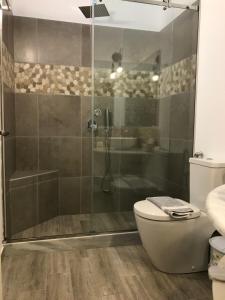 盖奥斯Paxos Santa Marina Villas的一间带玻璃淋浴和卫生间的浴室
