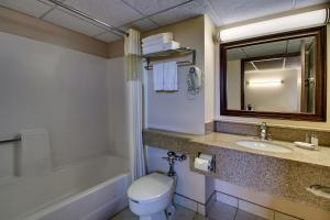 俾斯麦EverSpring Inn的一间带卫生间、水槽和镜子的浴室