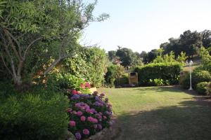 卡尔热斯赫利俄斯公寓的种有紫色和粉红色花卉和灌木的花园