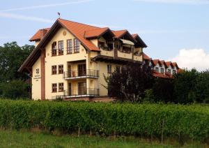 吕德斯海姆马格达勒尼霍夫庄园酒店的田野旁小山上的房屋