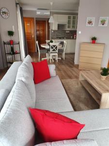 艾斯特根Pannonia Apartman的客厅配有带红色枕头的灰色沙发