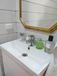 JorvasSaunaboat Haikara的浴室水槽、镜子和肥皂机
