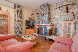 赛阿隆加Cortijo la Encina的客厅设有两张沙发和一个壁炉