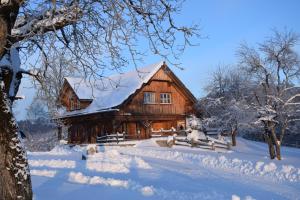 Sankt Anton an der JessnitzUrlaub am Bauernhof Höbarten的雪中木屋,有雪覆盖的树木