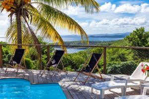 拉特里尼泰Villa Vue Sauvage的一个带游泳池、椅子和棕榈树的度假村