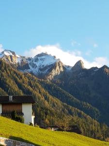 特里森2,5 Zimmer Ferienwohnung mit Küche/Bad的山丘上以山为背景的房子
