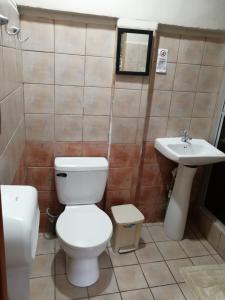 图里亚尔瓦Hospedaje Yaldai的一间带卫生间和水槽的浴室