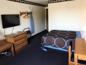 彼得斯堡Best Inn的一间卧室配有一张床、一个梳妆台和电视。