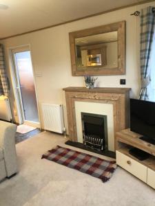 81 The Heathers, Aviemore Holiday Park , Dalfaber rd Aviemore PH22 1PX的电视和/或娱乐中心