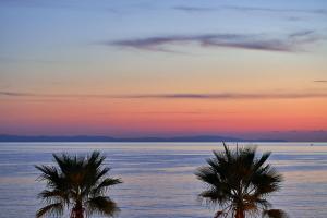 波托什Icon Suites的日落时分在海洋前两棵棕榈树