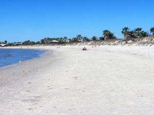 奥里斯塔诺Casa Liliana的棕榈树和海洋的沙滩