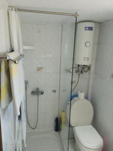 尼亚米卡尼奥纳DESPOINA APARTMENT 4 Relax的带淋浴和卫生间的小浴室