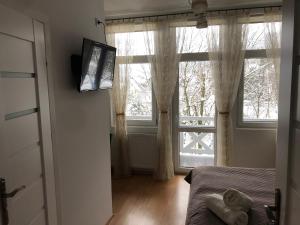 克罗奇琴科Willa Halina的一间卧室设有一张床和一个大窗户