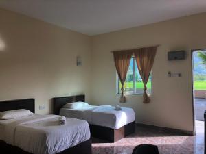 DVilla Guesthouse Langkawi客房内的一张或多张床位