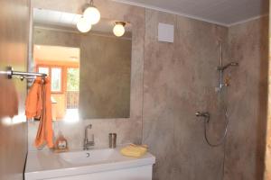 奥西阿赫Tiny Häuschen的浴室配有盥洗盆和带镜子的淋浴
