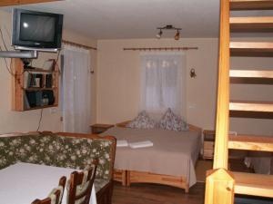 Lāde萨拉斯森林酒店的一间卧室配有一张床、一台电视和一张沙发