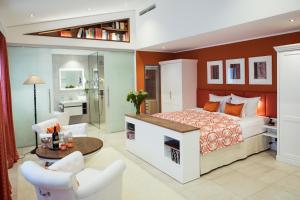 帕绍Passau - Suites的一间卧室设有一张床和一间客厅。