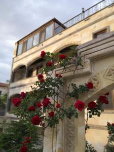 格雷梅和平石楼酒店的建筑物边的一束红花
