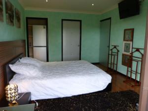 努美阿Le Médipole的卧室设有白色的床和绿色的墙壁