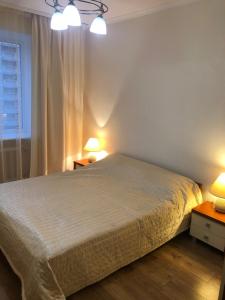 基辅Затишна 2х кімнатна квартира біля метро Академмістечко的一间卧室配有一张床、两盏灯和一个窗户。