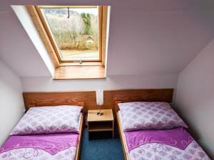 诺瓦佩奇Pohoda u Lva的小型客房 - 带2张床和窗户
