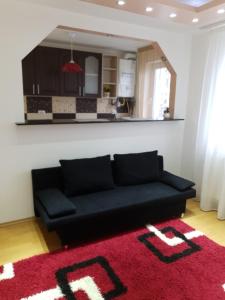 卡夫尼克19 RESIDENCE apartment的客厅配有黑色沙发和红色地毯。