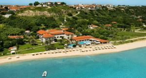 阿菲托斯阿菲提斯精品酒店的海滩上的度假村的空中景观