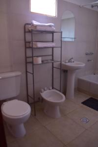 圣萨尔瓦多德朱Camino a Termas的一间带卫生间、水槽和镜子的浴室