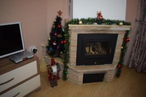 基尔科沃Two Villas Kirkovo的客厅配有圣诞树和壁炉