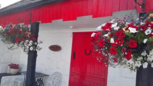 BallycrossaunShannon Breeze Cottage的大楼内红色的鲜花门