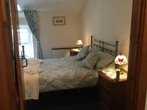 贝德格勒特bryn cilio的一间卧室配有一张带2个床头柜和2盏灯的床。