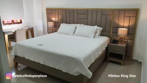 Hotel Valledupar Plaza客房内的一张或多张床位