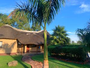 哈拉雷Riverstone Guest Lodge的茅草屋顶房子前面的棕榈树
