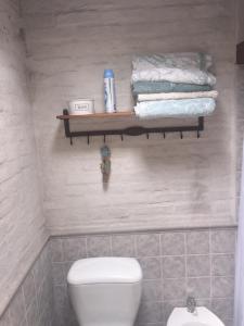 蒙得维的亚Bungalow in Our Garden的一间带卫生间和架子毛巾的浴室