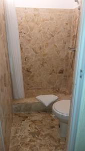 博卡奇卡Hotel Magic Tropical的一间带卫生间和石头淋浴的浴室