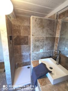 丰维耶Charmante maison en Provence的一间带水槽和淋浴的浴室
