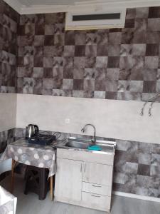 卡兹贝吉白房子旅馆的一个带水槽和桌子的小厨房