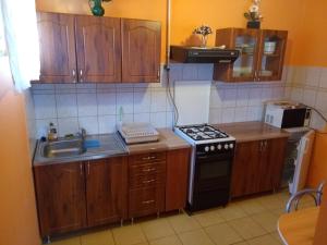 比克克塞克Gesztenyes Vendeghaz的厨房配有木制橱柜和炉灶烤箱。