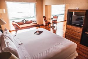 阿雷基帕BTH Hotel Arequipa Lake的一间卧室配有一张床、一台电视和一张沙发