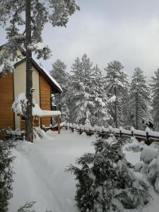 卡鲁德杰尔斯科巴尔Apartmani Sredojevic的树林里积雪覆盖的小屋