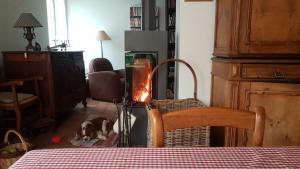 蒙利沃Chambre d'hôte Montlivault / Chambord的一只狗躺在地板上的壁炉前