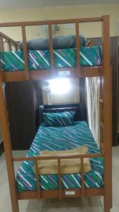 德拉敦The Trekkers Hostel - Dehradun的两张双层床,配有蓝色和绿色条纹床单