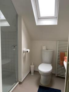 埃文河畔布拉德福Herb Cottage的浴室设有卫生间和带天窗的淋浴。