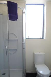 亨特利NZ庄园美景酒店的一间带卫生间和玻璃淋浴间的浴室