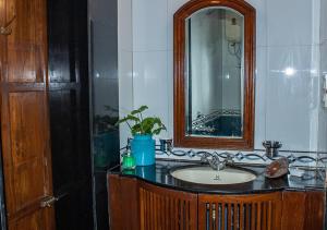 孟买The Ferreiras的浴室水槽,配有镜子和盆栽植物