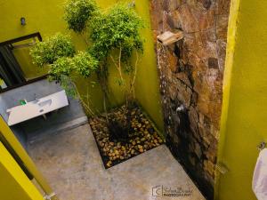 达瓦拉维汉塔拉乌达瓦拉瓦酒店的角落里带水槽和树木的浴室