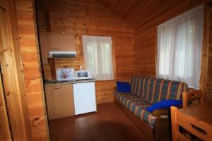 VíuHotel, Bungalows y Camping Viu的带沙发的客厅和小屋内的厨房