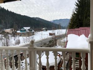 亚列姆切Complex Svitanok的雪阳台享有雪覆盖的庭院的景色