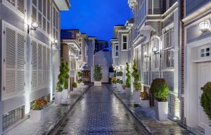 伊斯坦布尔Catch Hotel Sultanahmet-Special Category的一条种植了盆栽植物的白色建筑小巷